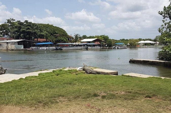 Appleton Estate Rum, YS Falls, Black River Safari / Floyd's Pelican Bar Tour - Floyd’s Pelican Bar: A Sand-Bar Hangout Out at Sea