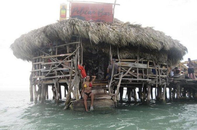 Appleton Estate Rum, YS Falls, Black River Safari / Floyd's Pelican Bar Tour - Black River Safari on J. Charles Swaby’s Boat: Nature Cruise Time