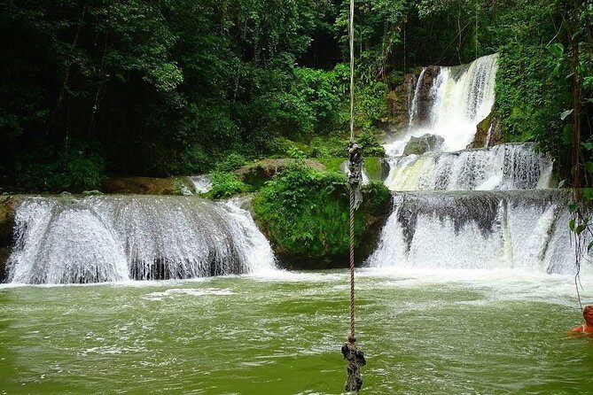 Appleton Estate, Ys Falls and Black River Safari Private Tour - Key Things You’ll Want to Know Before You Go