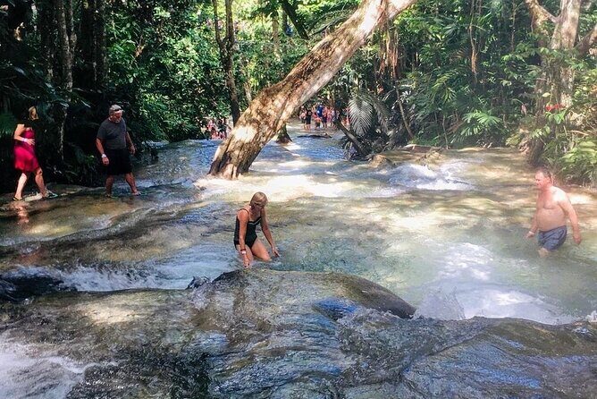 Bamboo Rafting, Dunn's River Falls and Horseback Riding Private Tour - Your Transportation: Air-Conditioned Comfort from Hotel to Hotel