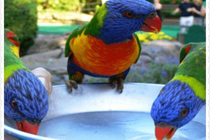 Bird Sanctuary and animal farm Day Tour - Key points before you go