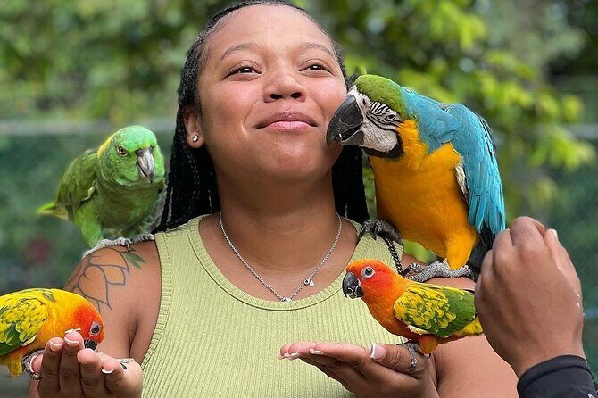 Bird Sanctuary and animal farm Day Tour - What Rockland Bird Sanctuary is really like (and why people love it)