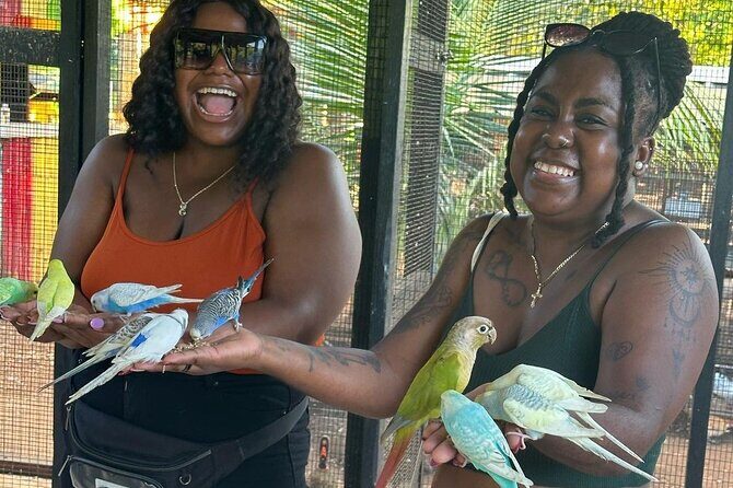 Bird Sanctuary and animal farm Day Tour - Montego Bay hip strip upgrade: best way to use your final hour