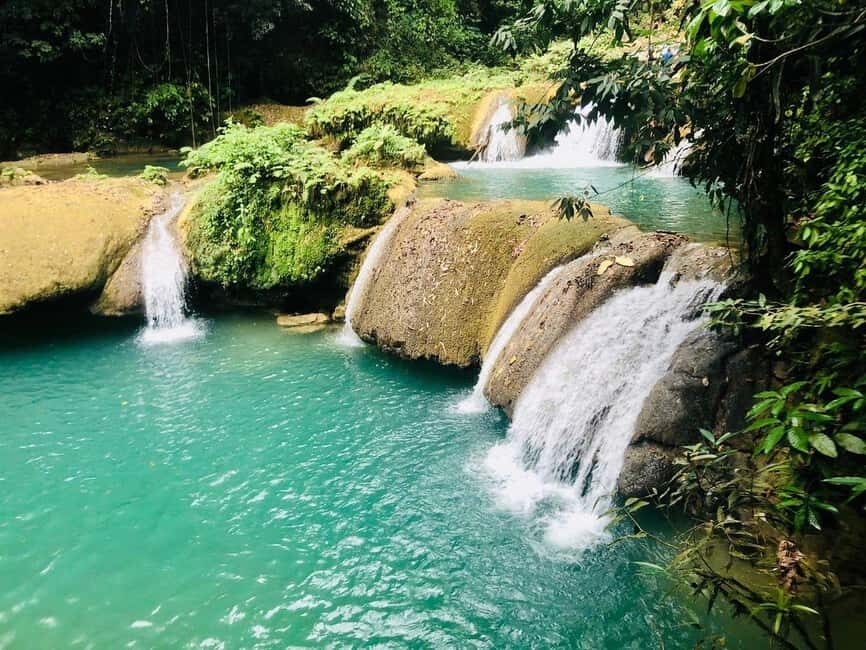 Black River Safari and Ys Falls Tour and Transportation - The guide story behind the Black River: more than wildlife photos