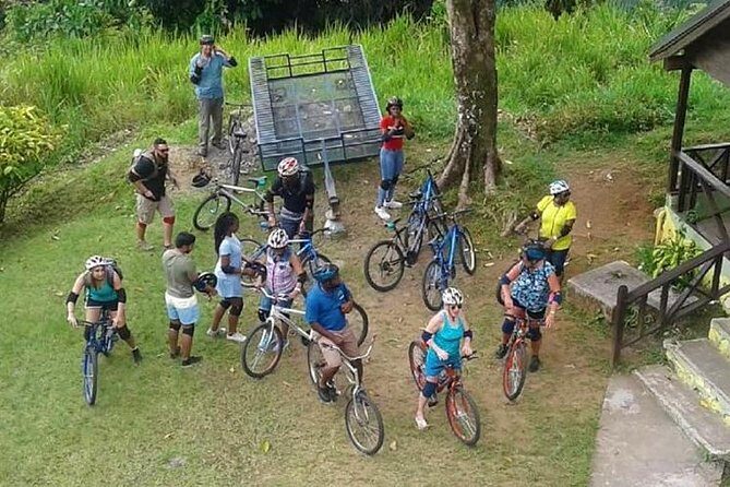 Blue Mountain Bicycle Tour from Montego Bay - The rainforest downhill: bikes, birds, and a rare butterfly stop