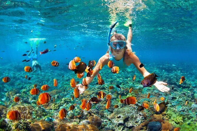 Boatride & Snorkeling then Margaritaville Hipstrip Activity - Key Things I’d Pay Attention To Before You Go
