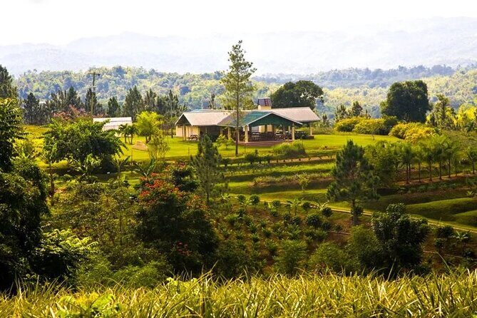 Croydon In The Mountains - Exotic Fruits & Flowers - Quick hits before you go