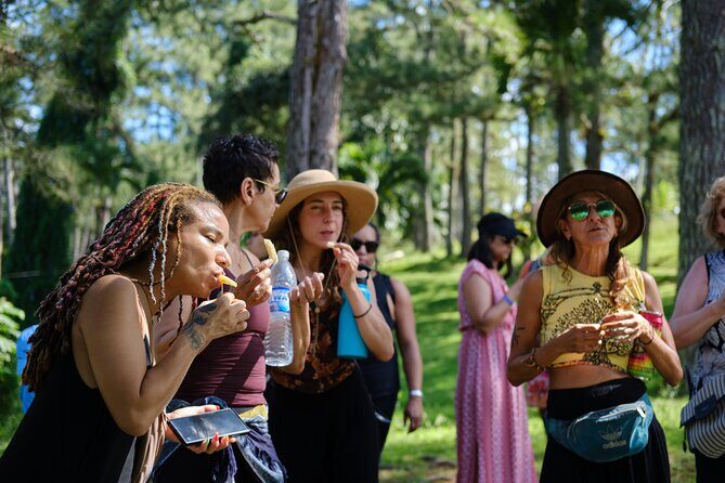 Croydon In The Mountains - Exotic Fruits & Flowers - Beekeeping and honey production: the part that feels most alive