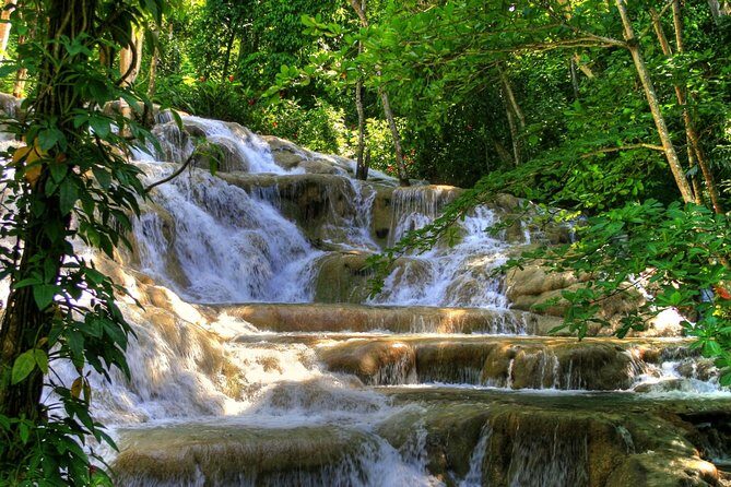Day Trip to Dunn's River Falls from Montego Bay - Key highlights you’ll care about