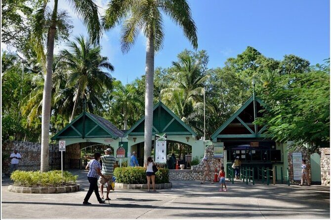 Dunn's River Fall's - What to Bring for Cold Water and Wet Steps
