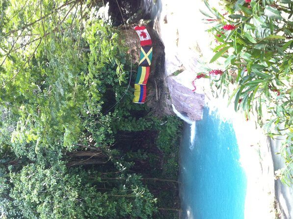 Dunn's River Falls and Jamaica Sightseeing Private Tour - A North-Coast Day: Montego Bay to Dunn’s River in a Small Group