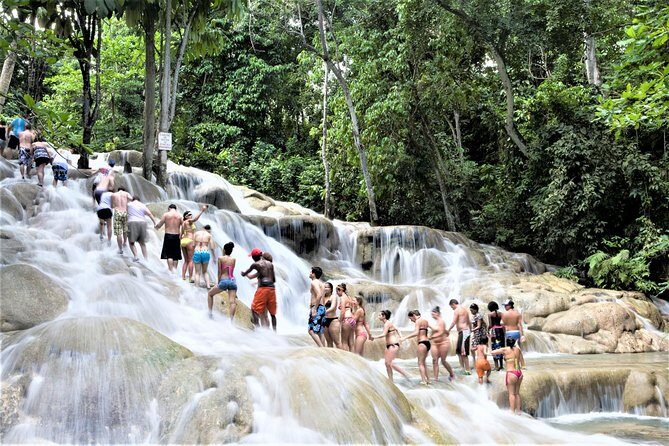 Dunn's River Falls and Ocho Rios Shopping Tour from Montego Bay Hotels - Key Highlights Worth Timing Your Day Around