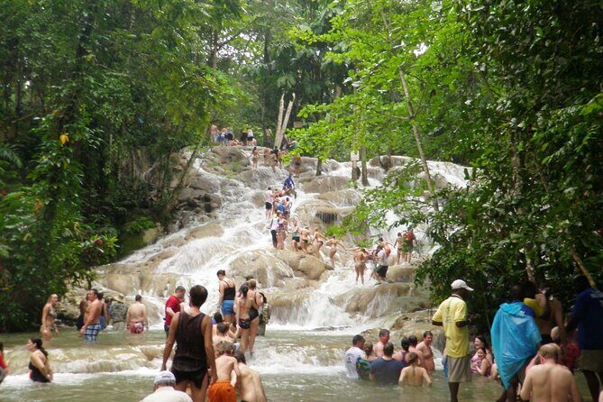 Dunn's River Falls Climb and Beach Include Entry Fee (ᵔᵕᵔ) - Montego Bay pickup, private group, and the ride to the falls