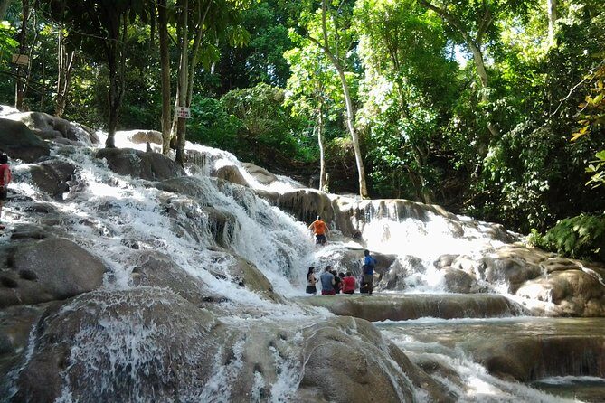 Dunn's River Falls excursion from Montego Bay - Key points to know before you go