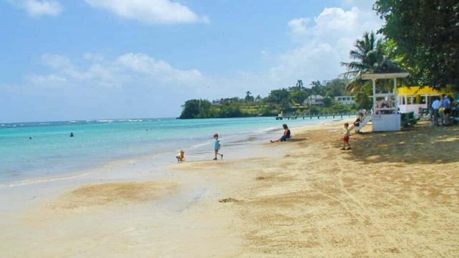 From Montego Bay: Dunn’s River Falls Experience - Dunn’s River in One Day: Why It Feels Like More Than a Photo Stop