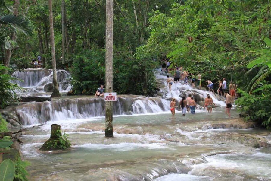 From Montego Bay: Dunn’s River Falls Experience - What to Bring (and What to Skip) for a Smooth Dunn’s River Day