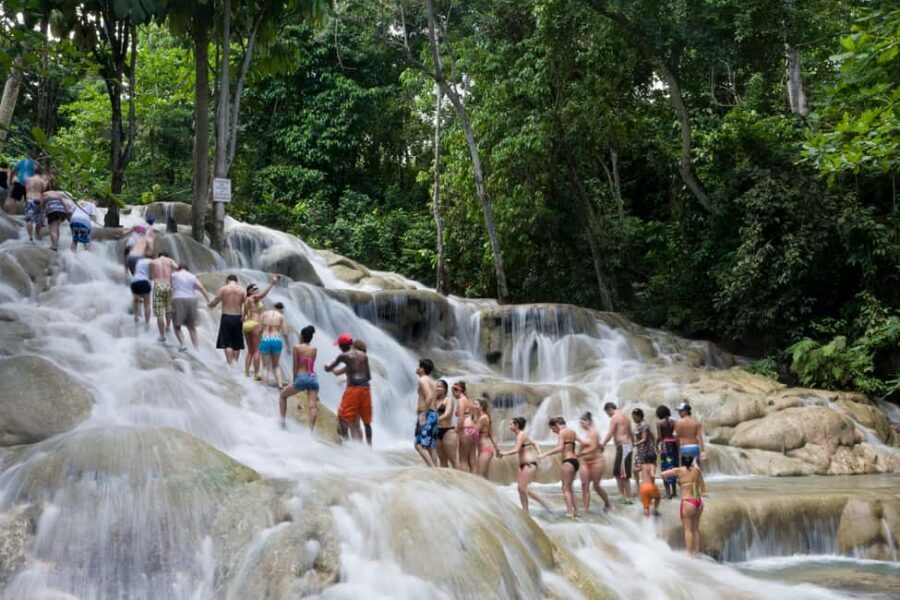 From Montego Bay: Dunn’s River Falls Experience - Montego Bay to Ocho Rios: The Van Ride That Changes the Whole Day