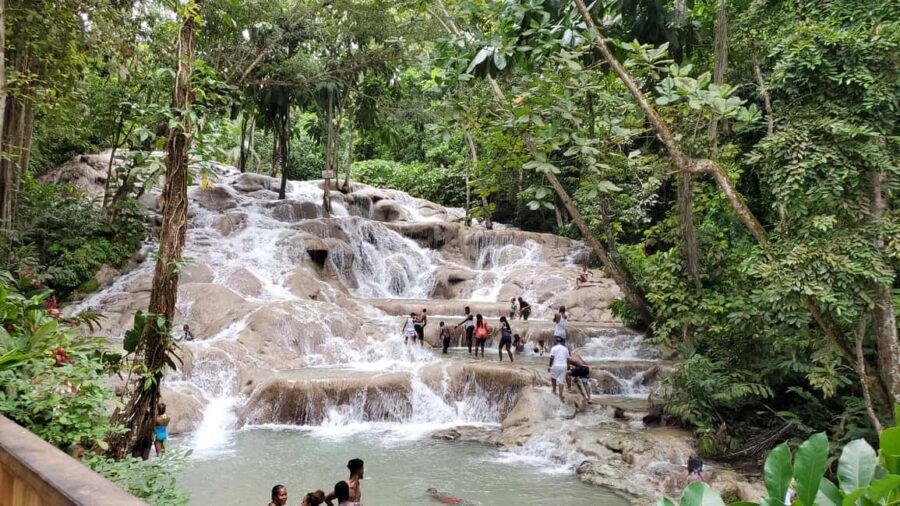 From Montego Bay: Dunn’s River Falls Experience - Ziplining Option: Fun Add-On, But Plan for Extra Cost