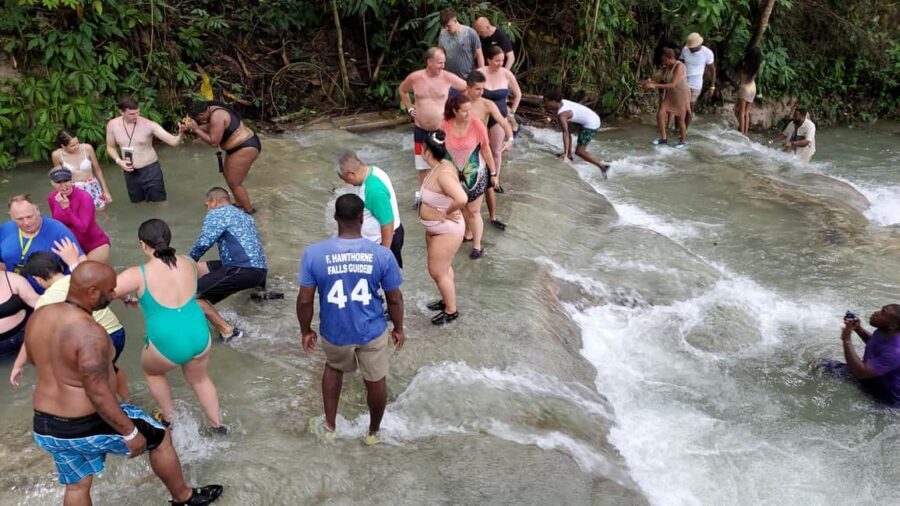 From Montego Bay: Dunn’s River Falls Experience - Price and Value: Is $135 a Good Deal for This Day?