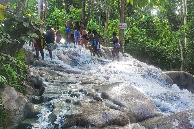 Full-Day Guided Tour to Dunns River Falls & shopping with lunch - Price and Value: Is $130 a Smart Deal?