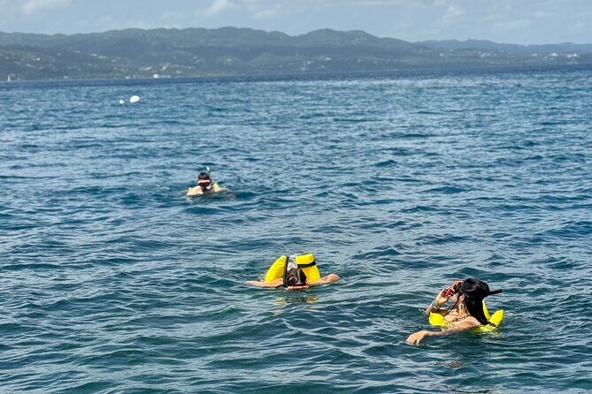 Glass bottom Boat Tour and Snorkeling Experience in Montego Bay - Mask Help and Hand-Feeding Fish With Captain Poly