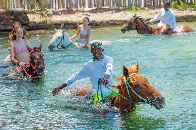 Horseback Ride and Swim Jamaica - Walking the Beach on Horseback (Yes, Really)