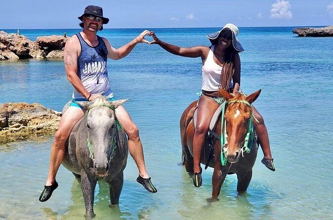 Horseback Ride and Swim Jamaica - Who the Guides Are For: Beginners to Experienced Riders