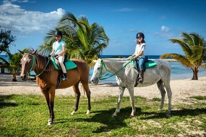 Horseback Ride and Swim Jamaica - The Ride Itself: Countryside, Banana and Plantain, and a Bee Farm