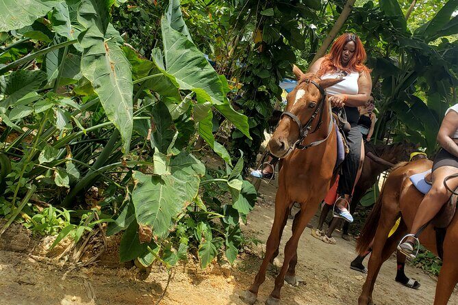 Horseback 'Ride N Swim' & Dunns River Falls from Montego Bay - Annie Palmer (White Witch) and Greenwood Great House Stops