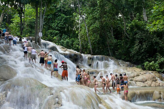 Horseback Riding plus Dunns River Falls Combo Private Tour - Who This Private Tour Is Best For