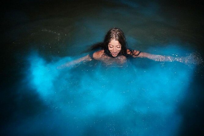 Jamaica Luminous Lagoon Private Tour with Transportation - Why the Luminous Lagoon glows in Montego Bay