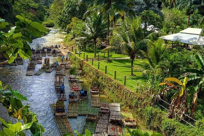 Lethe Bamboo River Rafting Tour - Jamaica's Vibest River - Price and value: why $46.20 can feel like a steal