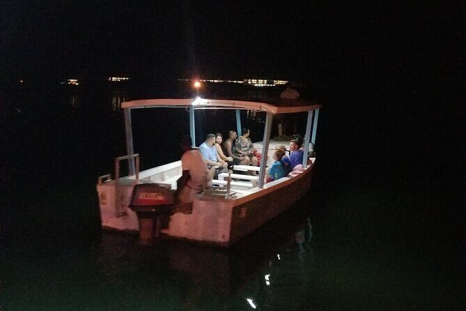 Luminous Lagoon Night Tour from Montego Bay - Timing and what your night should look like