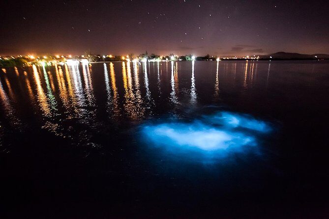 Luminous Lagoon Tour from Montego Bay - Key takeaways before you book