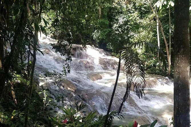 Martha Brae and Dunn’s River Falls Day Tour - Who this tour fits best (and who should think twice)
