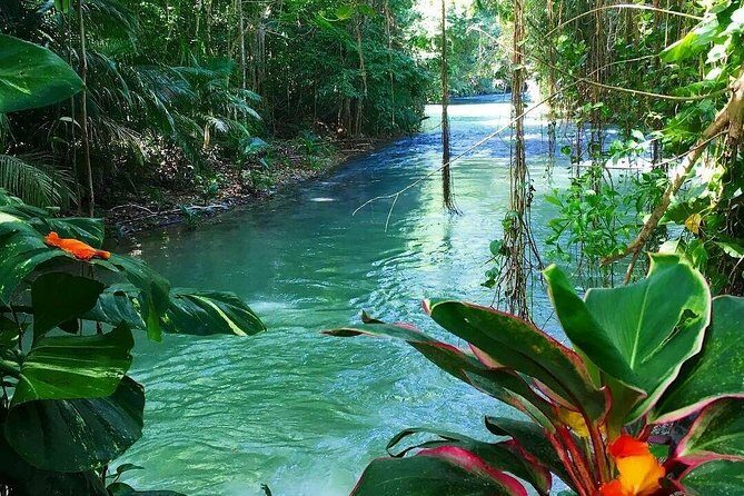 Martha Brae Rafting Adventure - Who should book Martha Brae rafting (and who might skip it)