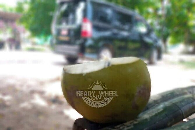 MBJ Airport Private Transfer to Rosehall Montego Bay - Pickup to Drop-Off: What the Ride Actually Looks Like