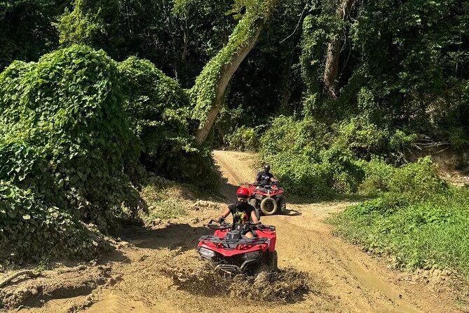 Montego Bay Adventure Day: ATV, Zip-lining & Horseback Riding Fun - Ziplining through treetops: what you’re really signing up for
