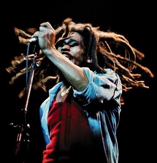 Montego Bay: Bob Marley Tour to 9 Mile, St. Ann - What Type of Traveler This Tour Fits Best