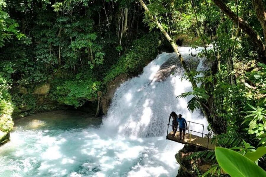 Montego Bay: Chuck Norris Falls & Dunn's River Falls Tour - Dunn’s River Falls: climb with help, or use the stairs