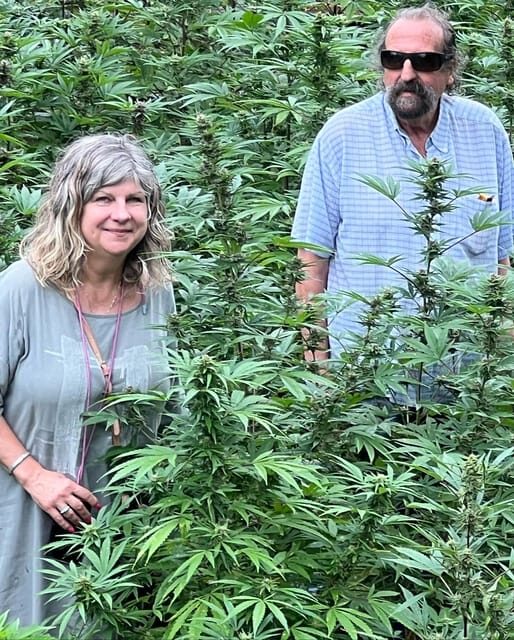 Montego Bay: Marijuana Farm Private Tour with Transportation - Should You Book This Montego Bay Marijuana Farm Tour?