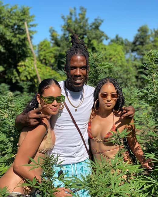 Montego Bay Marijuana Farm Tour - Should you book? My practical take