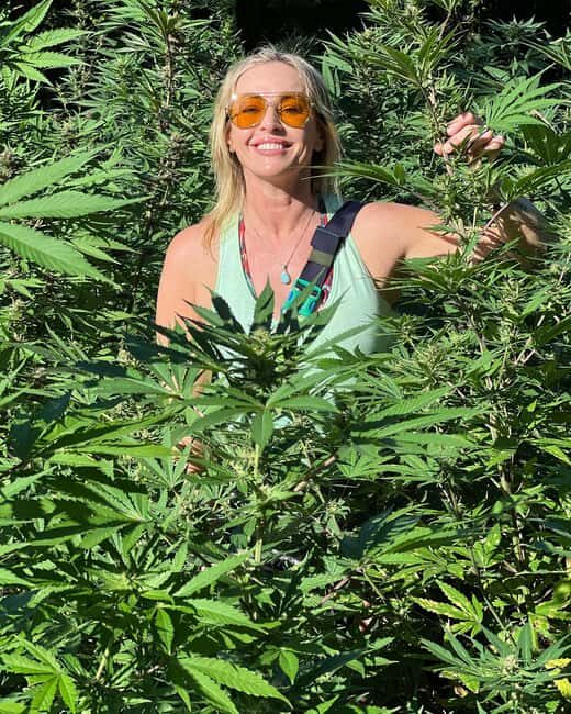 Montego Bay Marijuana Farm Tour - Rastafari culture and medicinal talk: what to listen for with your guide