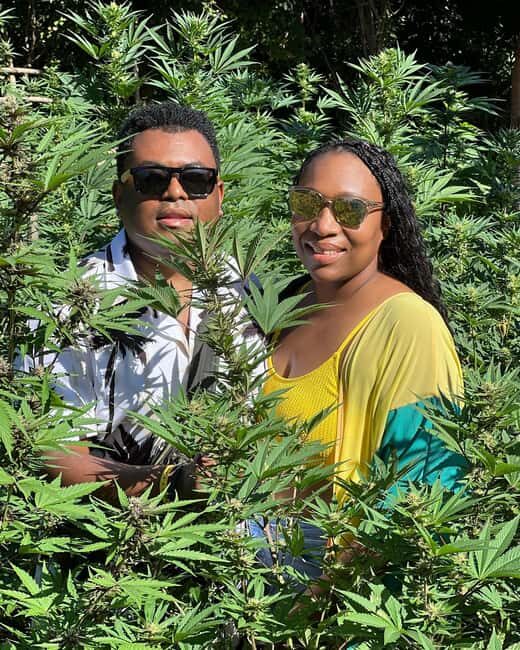 Montego Bay Marijuana Farm Tour - Photo time in the fields: getting the shot without slowing everyone down