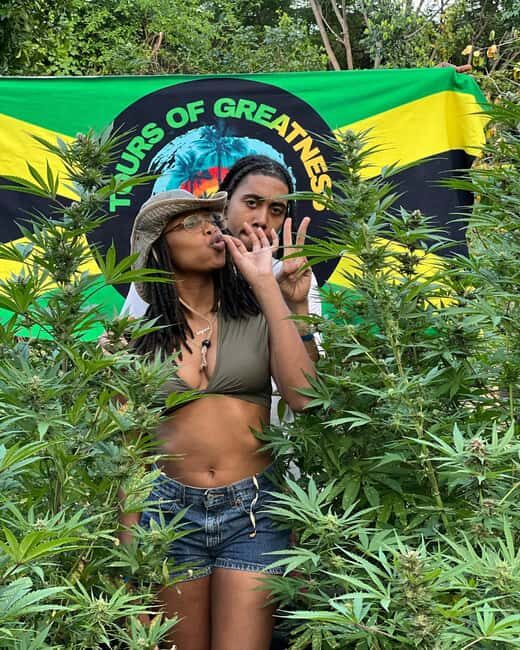 Montego Bay Marijuana Farm Tour - Entering the farm walk: what the guide actually helps you understand