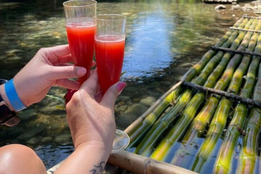 Montego Bay: River Rafting and Dunn's River Falls Day Trip - Who this tour suits best
