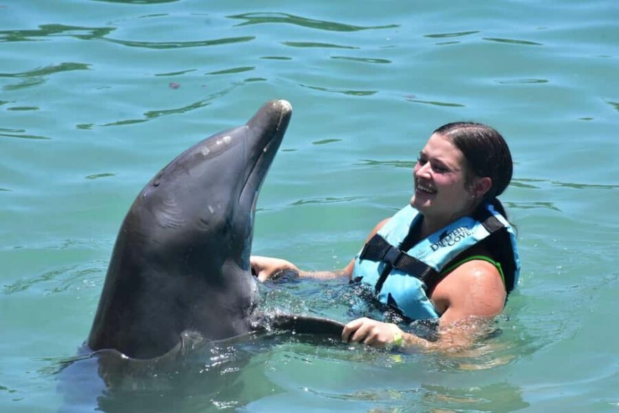 Montego Bay: Swim With The Dolphins Adventure in Lucea - Key Highlights You Should Know Before You Go