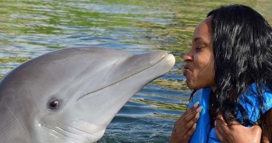 Montego Bay: Swim With The Dolphins Adventure in Lucea - Dolphin Time In Lucea: What the 150 Minutes Really Gives You