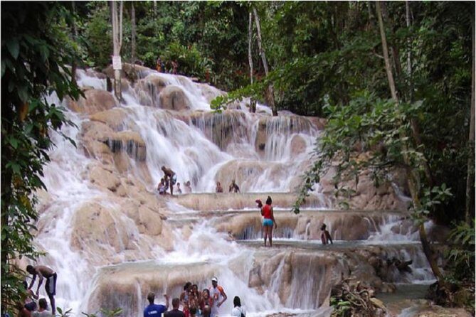 Montego Bay to Dunn's River Falls Half-Day Trip - Quick take: what makes this trip worth it