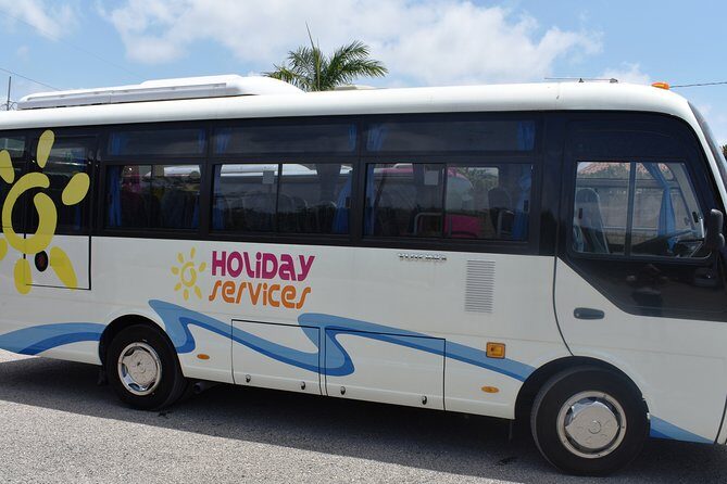 Mystic Lagoon Night-Time Cruise and Swim from Montego Bay & Trelawny - Price and value: is $75 worth a 3-hour night cruise and swim?